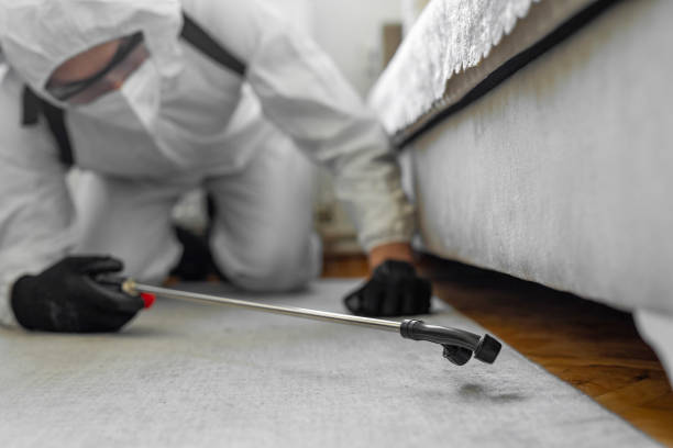 Professional Cockroach Control technician working in Heeia, HI