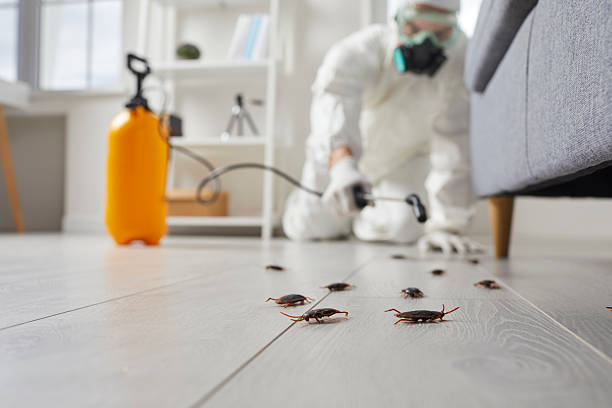 Affordable Cockroach Control solutions in Heeia, HI